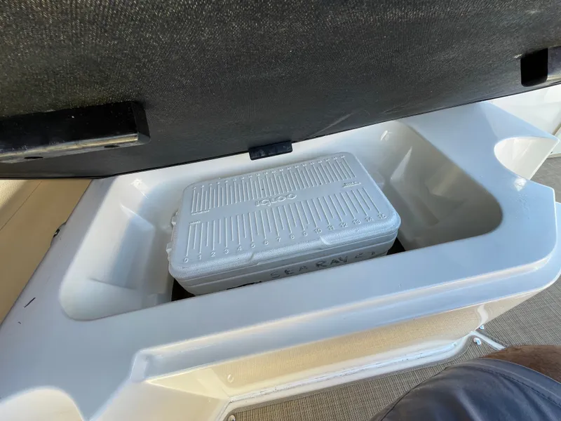 Slide: The Image of Sea Ray SDX 250 Outboard 2019 - 43