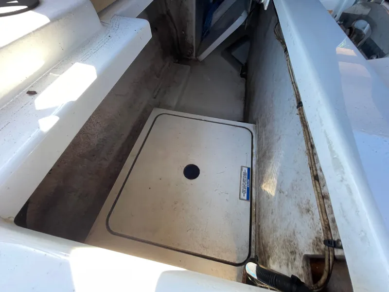 Slide: The Image of Sea Ray SDX 250 Outboard 2019 - 45