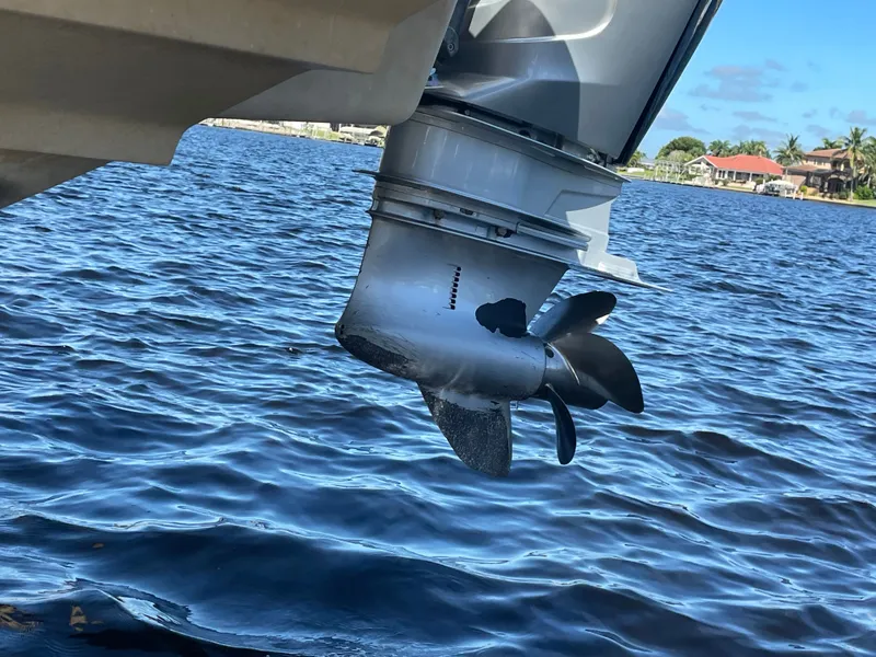 Slide: The Image of Sea Ray SDX 250 Outboard 2019 - 5