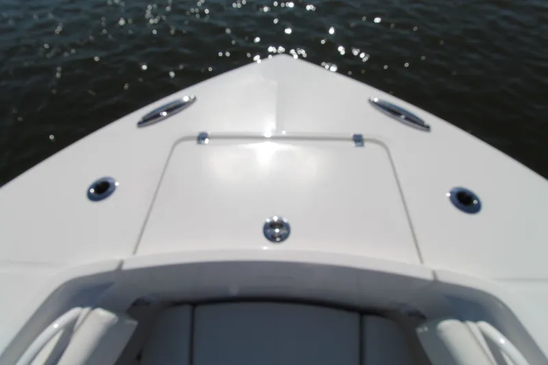 Slide: The Image of Regulator Marine 31 2025 - 10