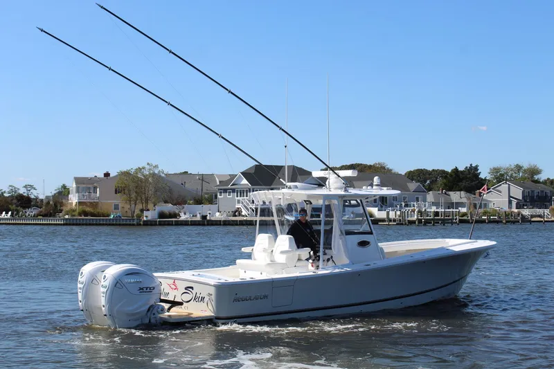 Slide: The Image of Regulator Marine 31 2025 - 6