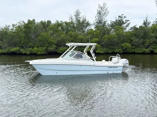 Slide: The Image of World Cat 230 DC 2026 - 11