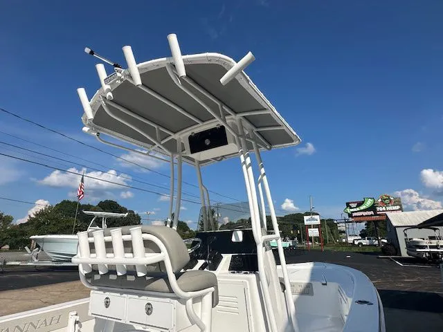 Slide: The Image of Savannah 220IS 2026 - 4