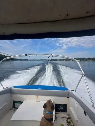 Slide: The Image of Four Winns 243 Coast Runner 1997 - 4