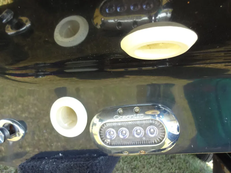 Slide: The Image of Shearwater 27 Carolina 2017 - 139