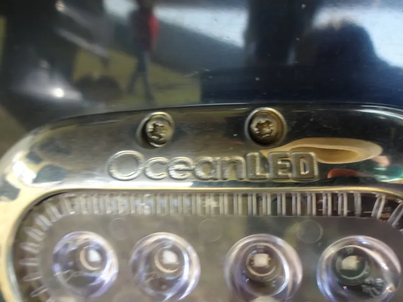 Slide: The Image of Shearwater 27 Carolina 2017 - 141