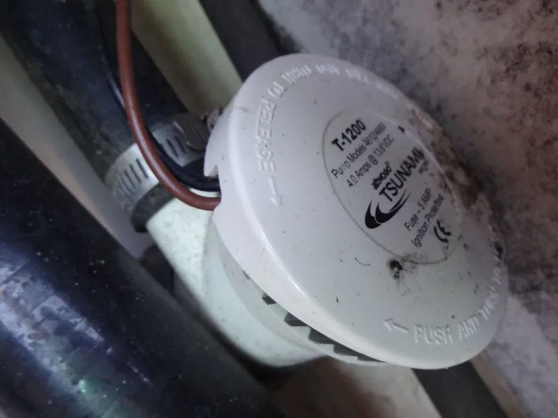 Slide: The Image of Shearwater 27 Carolina 2017 - 156