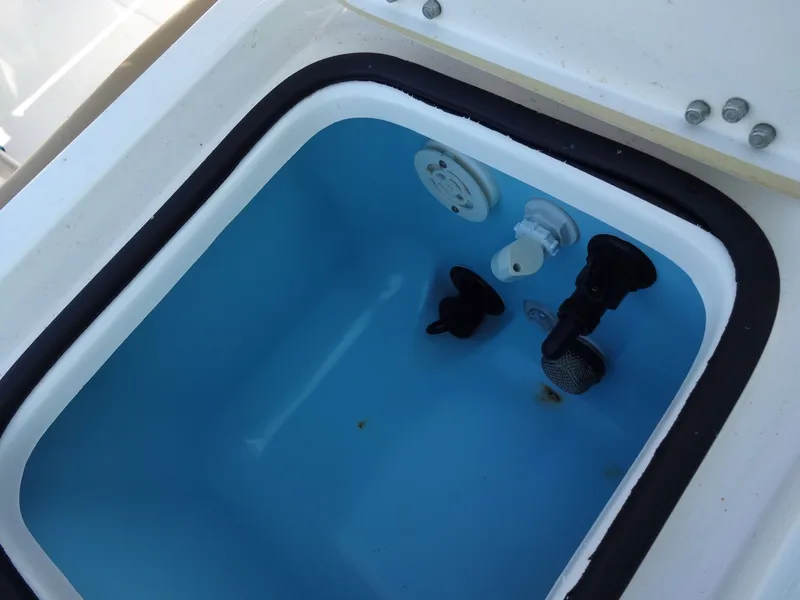 Slide: The Image of Shearwater 27 Carolina 2017 - 99