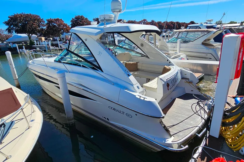 The Image of 2009 Cobalt 373 boat docked at marina, surrounded by other vessels. - 0