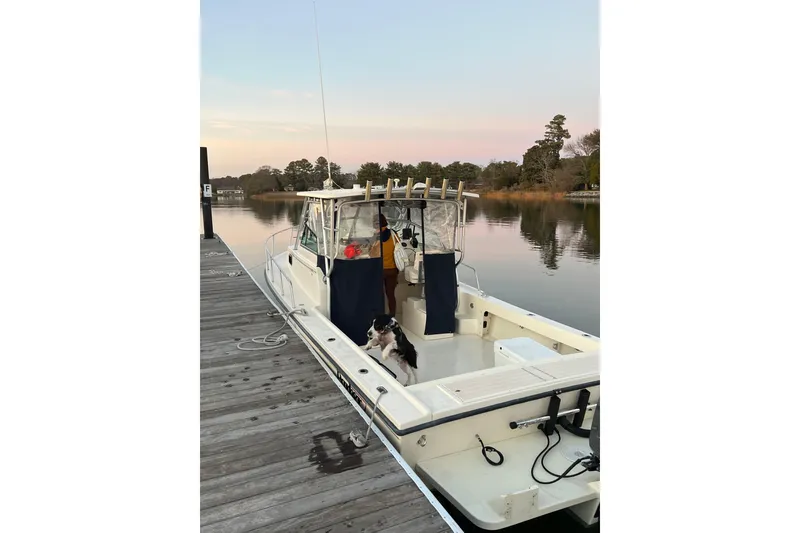 Slide: The Image of 2004 Parker 2510 Modified Vee Walkaround boat docked with a dog onboard at sunset. - 2