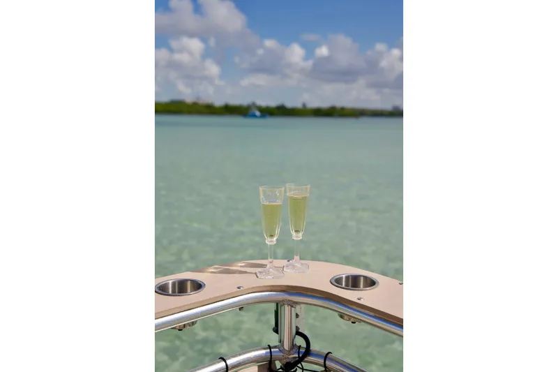 Slide: The Image of Two champagne glasses on A&M Manufacturing Bulldog 43 boat, 2027, with scenic ocean view. - 12