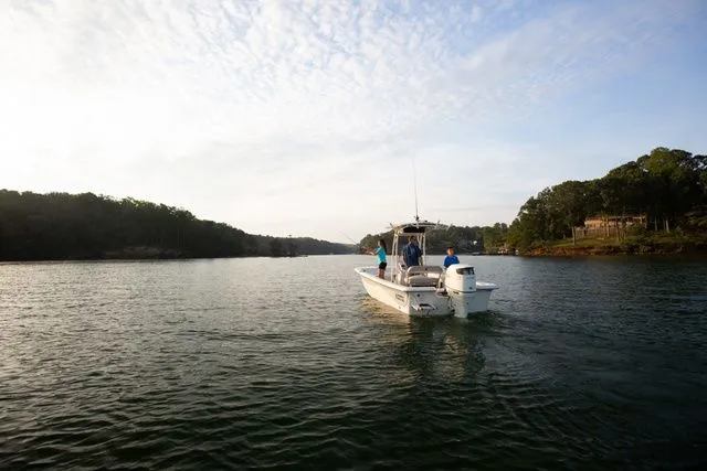 Slide: The Image of Carolina 21LS 2026 - 3