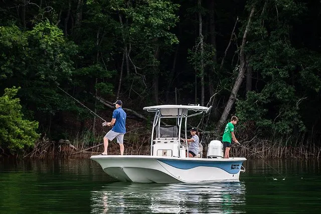 Slide: The Image of Carolina 23LS 2026 - 3