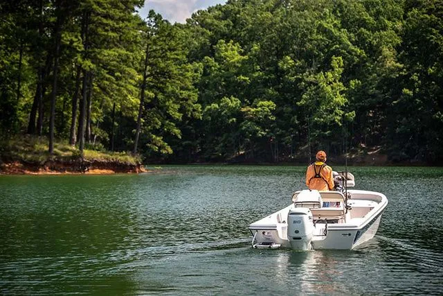 Slide: The Image of Carolina 192 JLS 2026 - 7