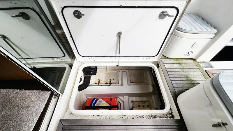 Slide: The Image of Greenline 40 2022 - 59