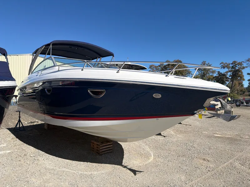 The Image of Cobalt 303 2008 - 1