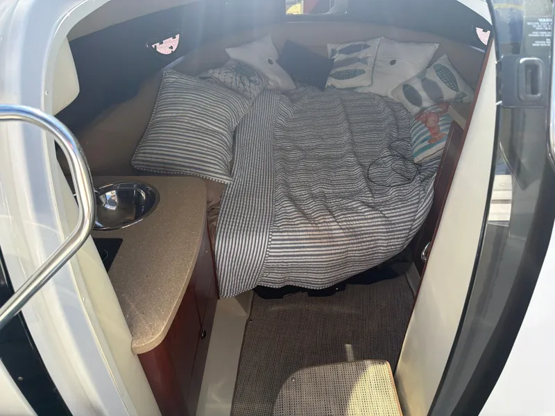 Slide: The Image of Cobalt 303 2008 - 18