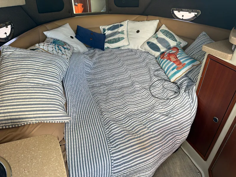 Slide: The Image of Cobalt 303 2008 - 19