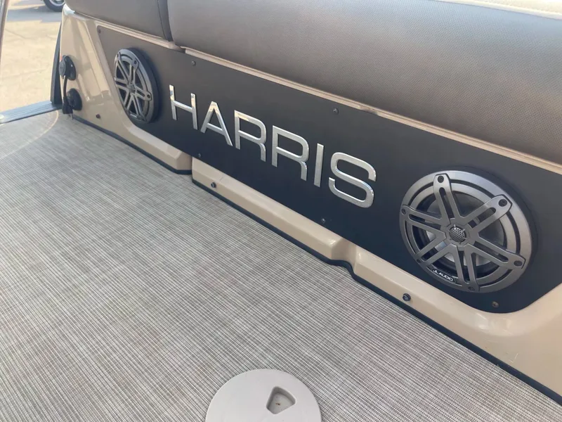 Slide: The Image of Harris Solstice 230 2021 - 32