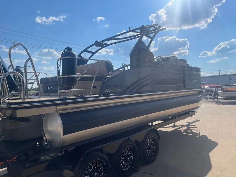 Slide: The Image of Harris Solstice 230 2021 - 4