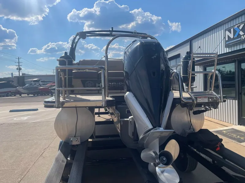 Slide: The Image of Harris Solstice 230 2021 - 5