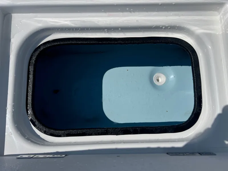 Slide: The Image of Shoalwater 19 Cat 2026 - 17