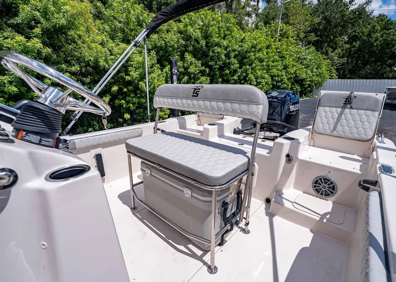 Slide: The Image of Carolina 17 LS 2026 - 9