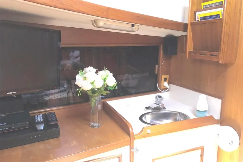 Slide: The Image of Nonsuch 36 1983 - 15