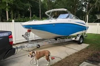 The Image of 2020 Hurricane SunDeck 191 OB boat on trailer, parked in driveway with a dog nearby. - 1