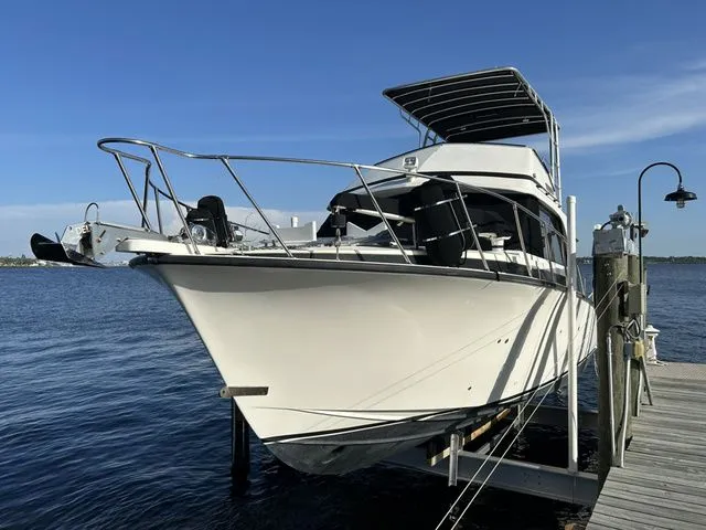 The Image of Bertram 33 Flybridge Cruiser 1987 - 1