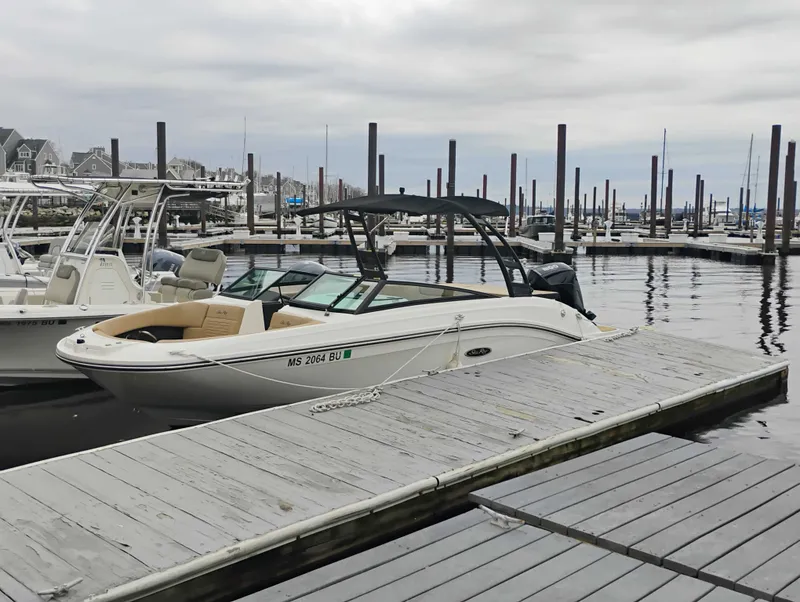 Slide: The Image of Sea Ray SPX 230 Outboard 2023 - 2