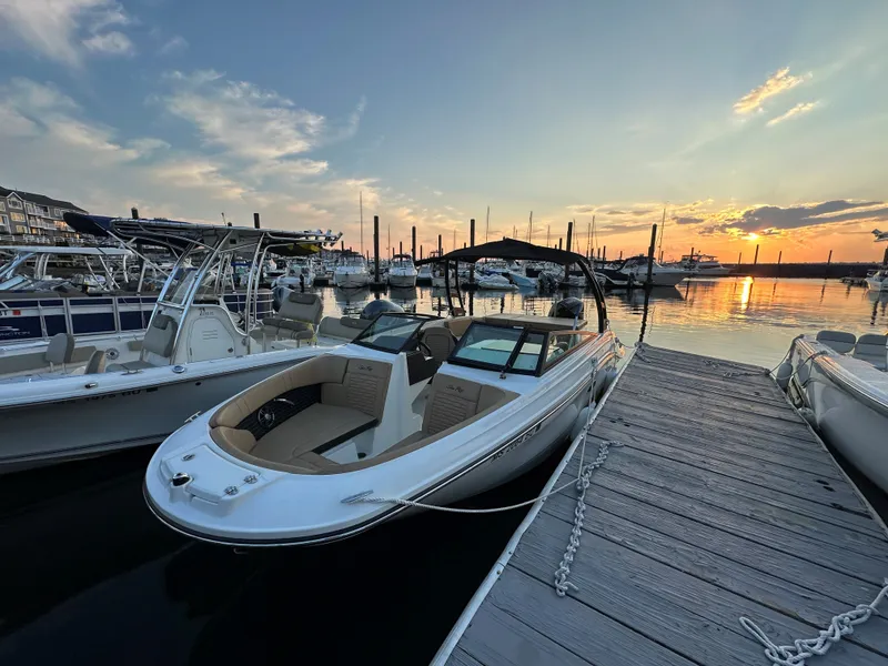 Slide: The Image of Sea Ray SPX 230 Outboard 2023 - 3