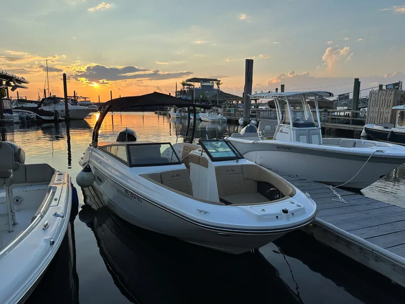 Slide: The Image of Sea Ray SPX 230 Outboard 2023 - 4