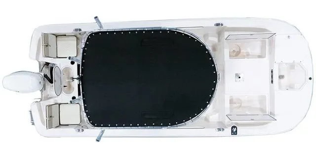 Slide: The Image of Carolina 19 LS 2025 - 2