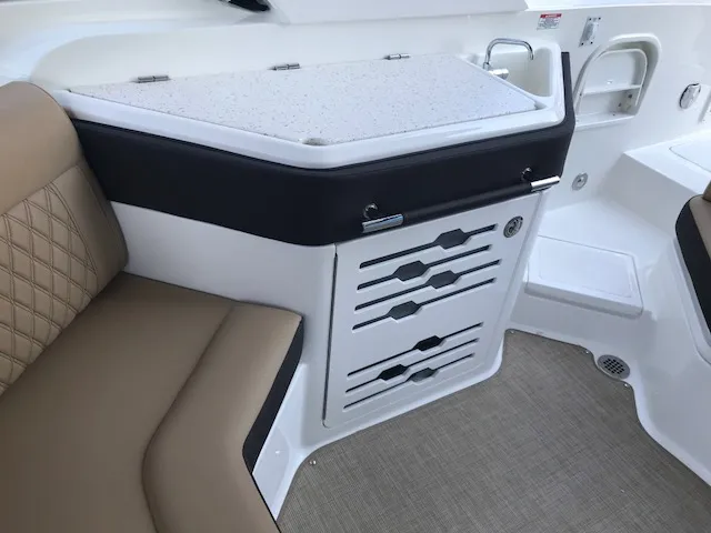 Slide: The Image of Interior of 2019 Sea Ray 310 SLX boat with seating and storage. - 10