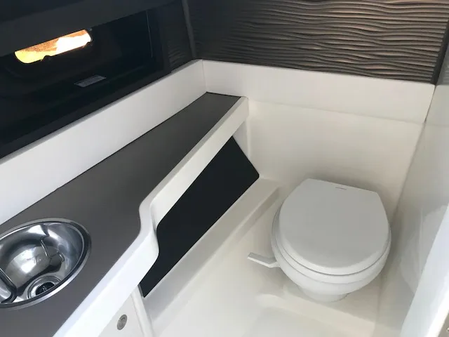 Slide: The Image of 2019 Sea Ray 310 SLX boat interior with sink and toilet. - 15