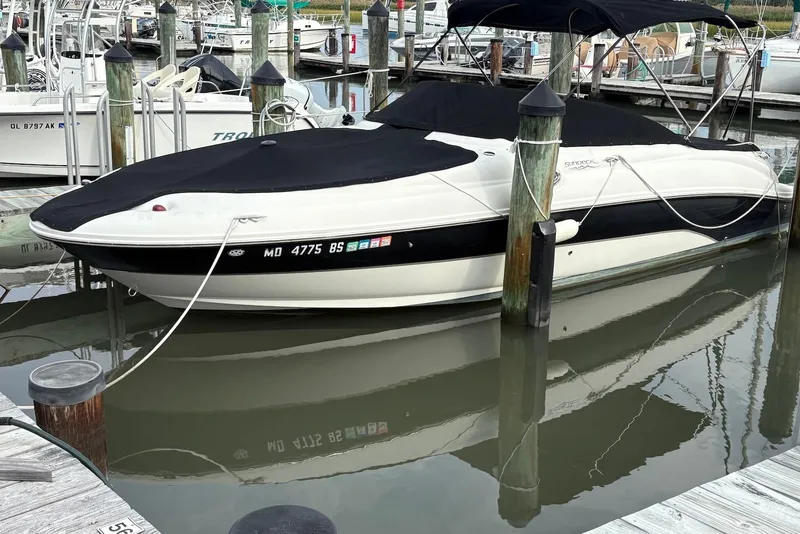 The Image of 2004 Sea Ray 240 Sundeck boat docked with cover, in a marina setting. - 0