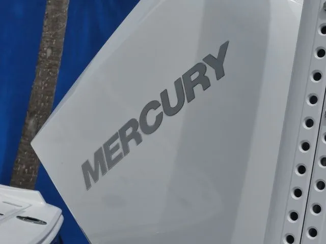 Slide: The Image of Blackfin 242 HB 2026 - 11