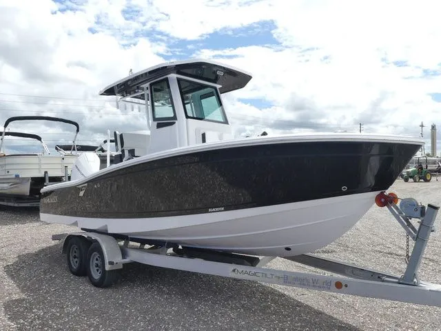 Slide: The Image of Blackfin 242 HB 2026 - 3