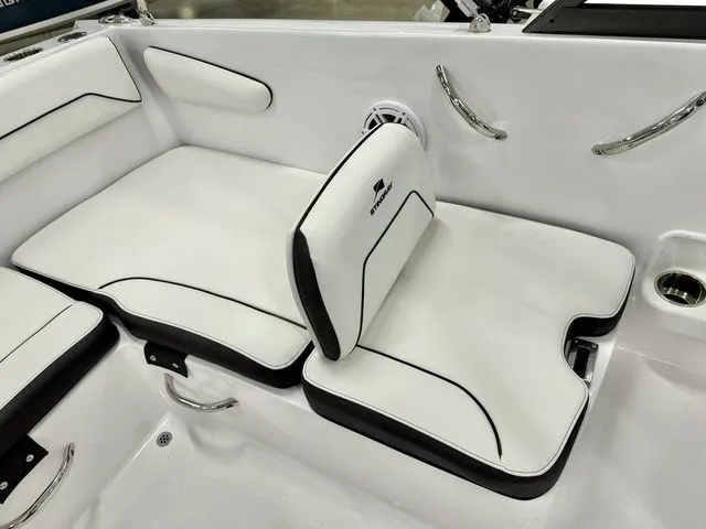 Slide: The Image of Stingray 172 DC 2026 - 7