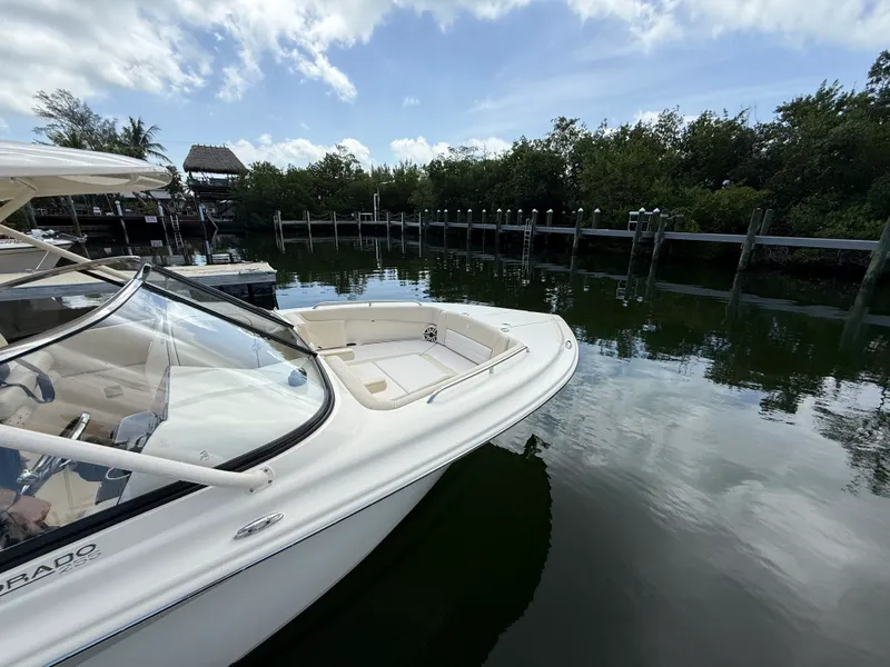 The Image of Scout 255 Dorado 2027 - 0