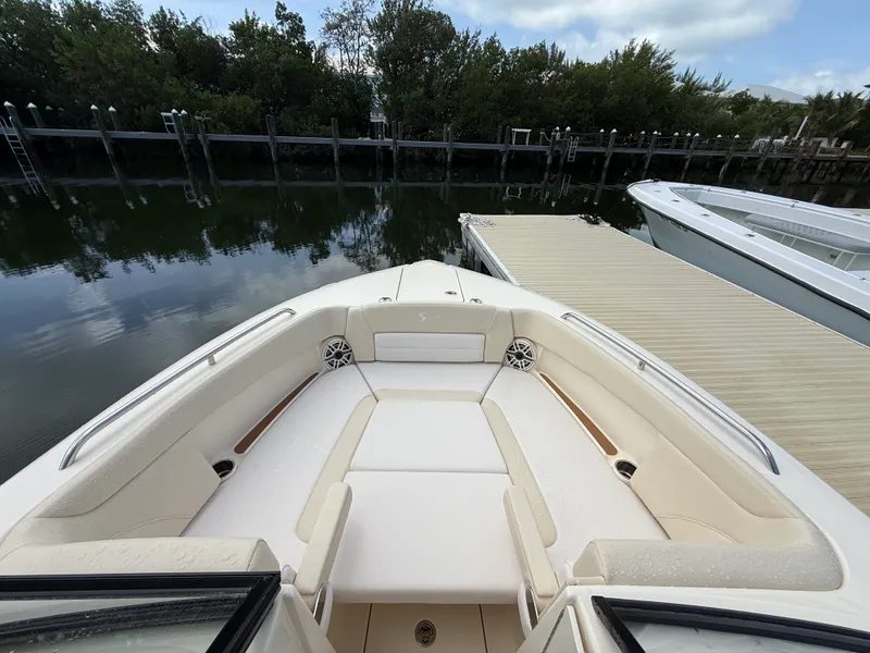Slide: The Image of Scout 255 Dorado 2027 - 1