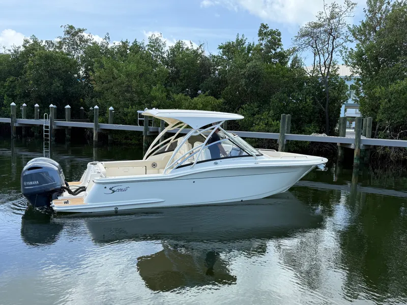 The Image of Scout 255 Dorado 2027 - 0