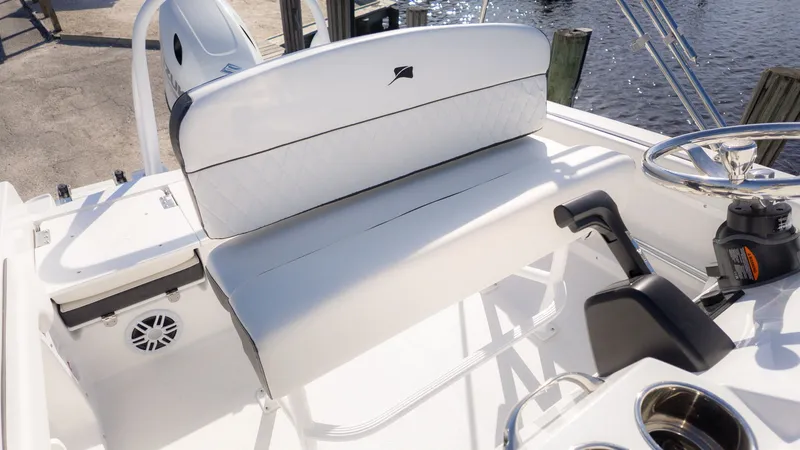 Slide: The Image of Stingray 173 CC 2026 - 11