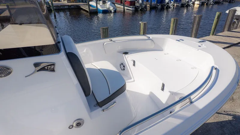 Slide: The Image of Stingray 173 CC 2026 - 13