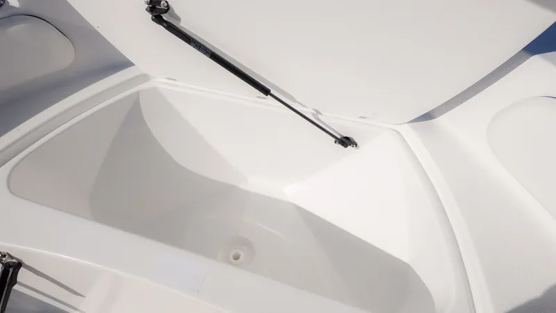 Slide: The Image of Stingray 173 CC 2026 - 15