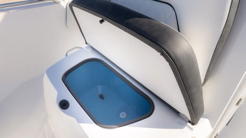 Slide: The Image of Stingray 173 CC 2026 - 17