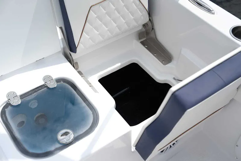 Slide: The Image of Stingray 173 CC 2026 - 5