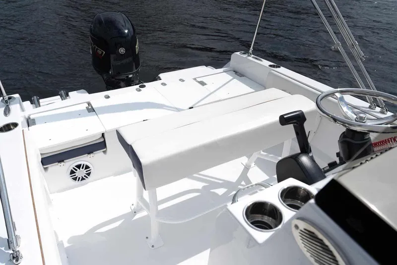 Slide: The Image of Stingray 173 CC 2026 - 8