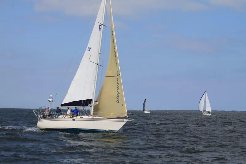 Slide: The Image of Sailboats on open water, featuring a 1989 Pearson 37-2 in the foreground. - 41